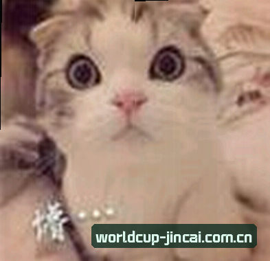 周鹏